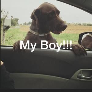 Meet your Posher, Tammy